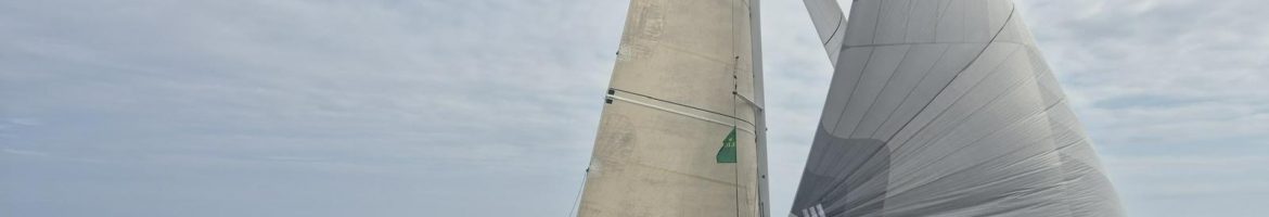 WhatsApp Image 2025-08-03 at 14.05.25